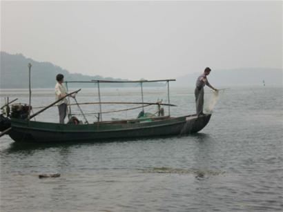 太湖湖鲜
