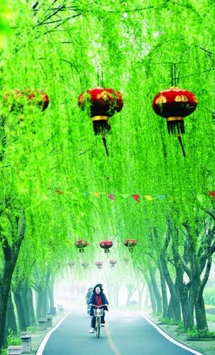 ������ɽ�����ⰻȻ