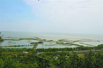 三山岛湿地远景