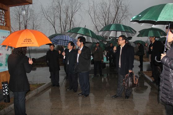 �쵼������ɽ��