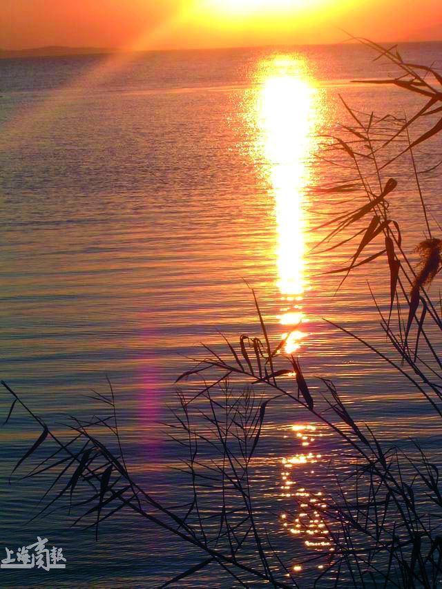 ������ɽ��