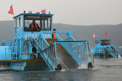 ������̫��ˮ�ݴ���