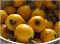 ��ɽ������Ƭ