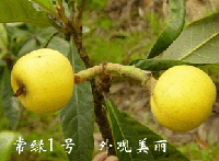 ��ɽ���˳���1��