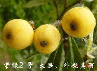 ��ɽ���˳���2��