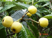 ��ɽ����ͼƬ