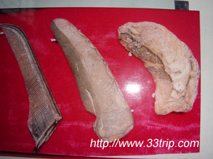 �Ŵ�����