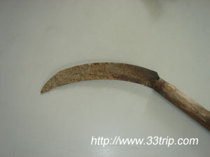 �ִ�����